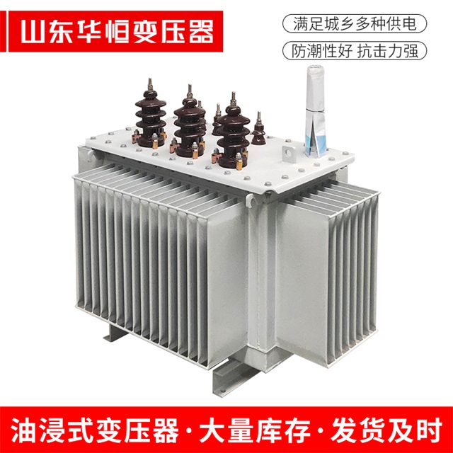 S11-10000/35利津利津利津电力变压器价格